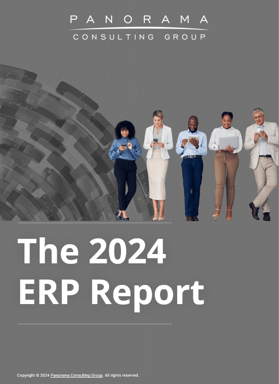 2024 erp report