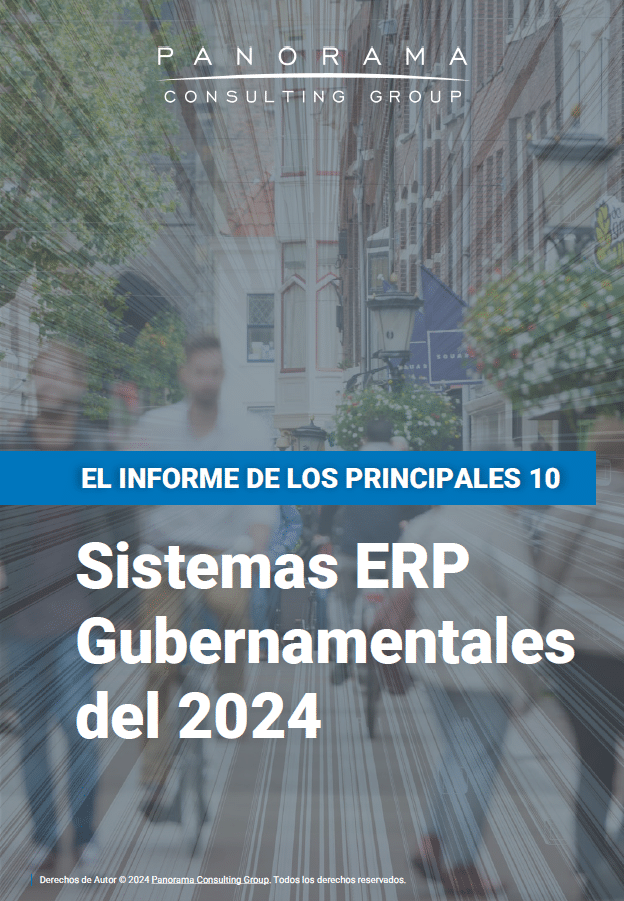 Sistemas ERP Gubernamentales