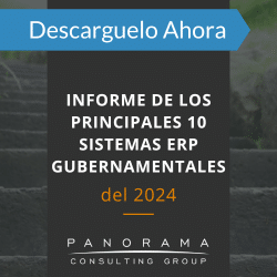 sistemas-erp-gubernamentales