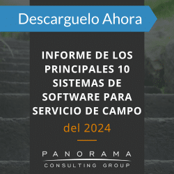 software para servicio de campo